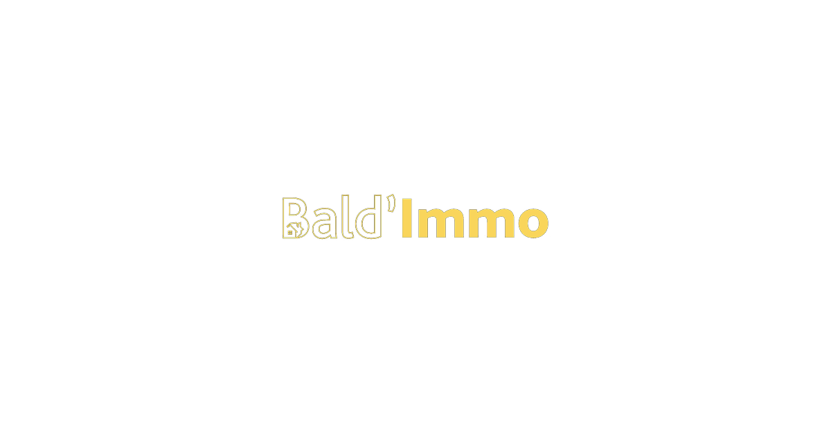 Logo de l'agence Bald Immo
